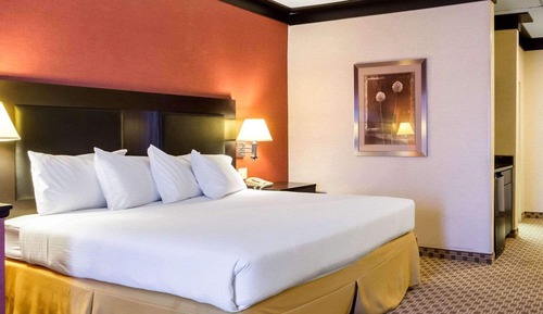Standard Room, 1 King Bed, Non Smoking