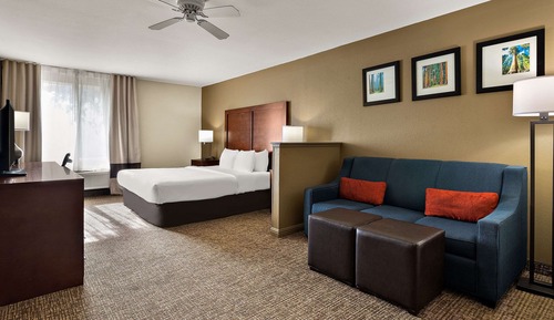Suite, Non Smoking (1 King Bed)