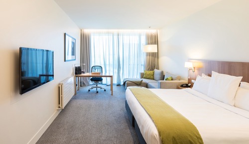 Business Room, 1 King Bed