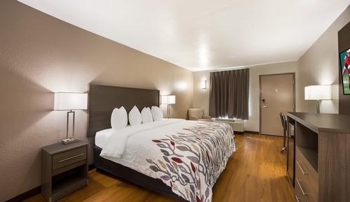 Deluxe Room, 1 King Bed (Smoke Free)