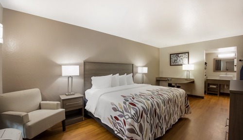 Superior Room, 1 King Bed, Ground Floor (Smoke Free)