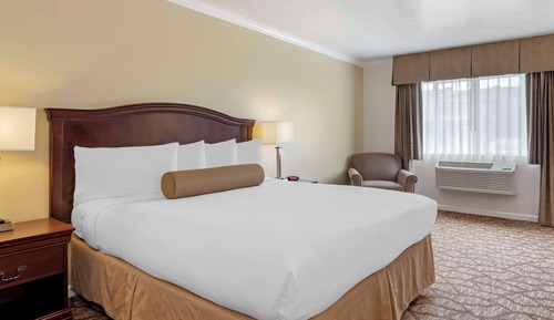 Standard Room, 1 King Bed, Refrigerator & Microwave (Larger Room)
