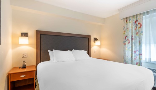 Executive Suite, 1 King Bed, Non Smoking, Refrigerator & Microwave (with Sofabed)