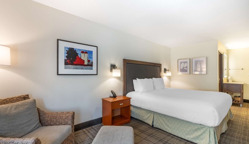Standard Room, 1 King Bed, Non Smoking, Refrigerator