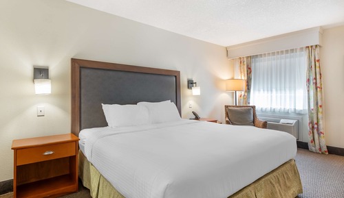 Standard Room, 1 King Bed, Accessible, Bathtub