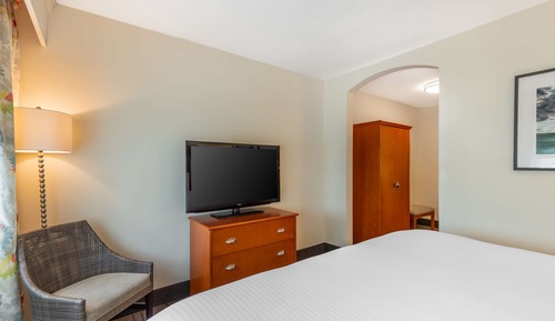 Suite, 1 King Bed, Non Smoking, Refrigerator & Microwave (with Sofabed)