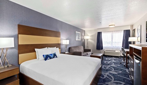 Standard Room, 1 King Bed, Non Smoking, Refrigerator & Microwave (with Sofabed)
