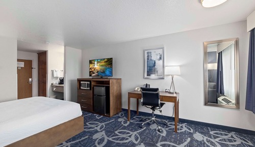 Standard Room, 1 King Bed, Non Smoking, Refrigerator & Microwave (Shower Only)