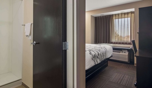 Room, 1 King Bed, Non Smoking