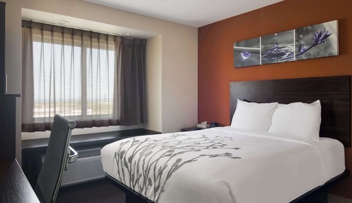 Standard Room, 1 Queen Bed, Non Smoking