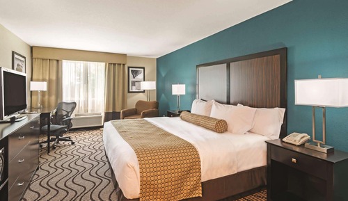 Room, 1 King Bed, Non Smoking