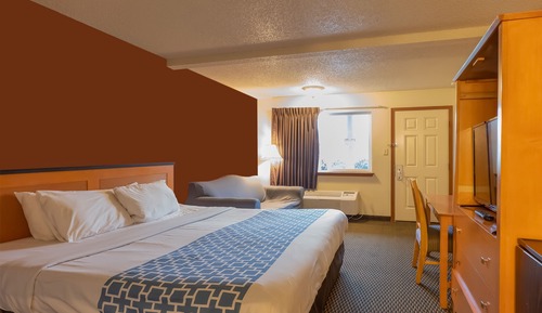 Room, 1 King Bed