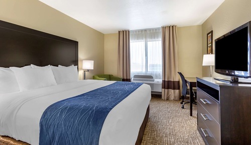 Deluxe Suite, 1 King Bed, Sitting Area with Sofa, Non-Smoking