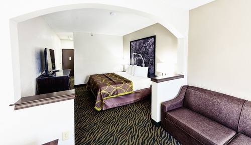 Room, 1 King Bed, Mobility Accessible with Sleeper Sofa, Non Smoking