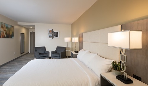 Superior Room, 1 King Bed, Non Smoking