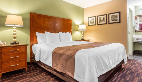 Standard Room, 1 King Bed, Non Smoking