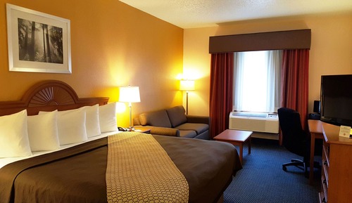 Room, 1 King Bed, Non Smoking, Refrigerator & Microwave