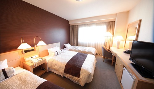 Triple Room, Smoking (2 beds and 1 extra bed)