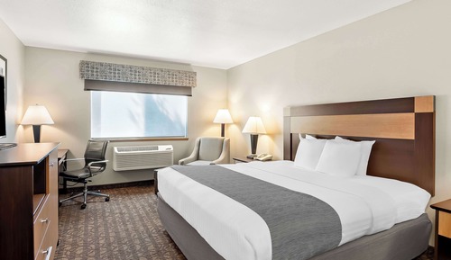 Standard Room, 1 King Bed, Accessible, Non Smoking