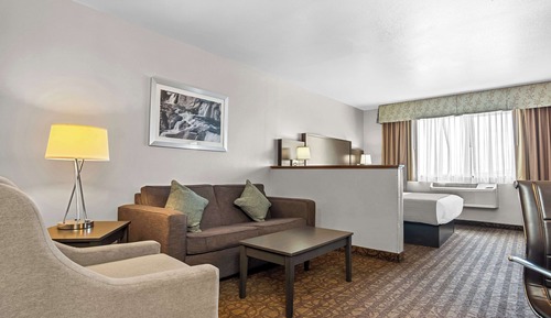 Standard Room, 1 King Bed with Sofa bed, Non Smoking, Refrigerator & Microwave (with Sofabed)