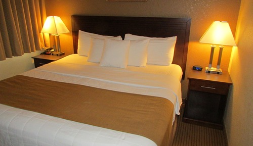 Standard Room, 1 King Bed, Non Smoking