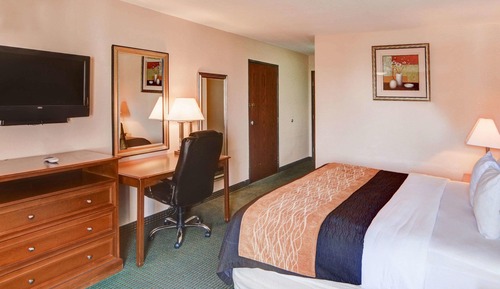 Standard Room, 1 King Bed, Non Smoking