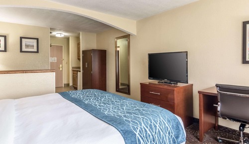 Suite, 1 King Bed with Sofa bed, Non Smoking (Efficiency, Upgrade)