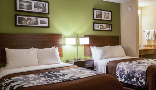 Standard Double Room, 2 Double Beds, Non Smoking