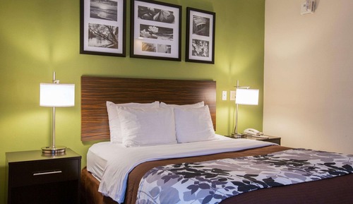 Standard Room, 1 King Bed, Non Smoking