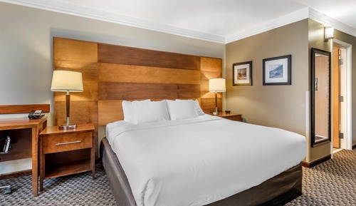 Standard Room, 1 King Bed, Non Smoking