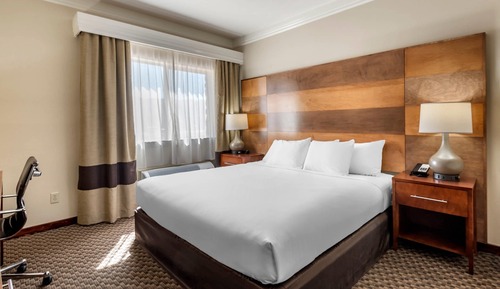 Room, 1 King Bed, Accessible, Non Smoking