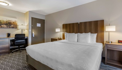 Standard Room, 1 King Bed, Non Smoking, Refrigerator & Microwave (Pet Friendly;with Sofabed)