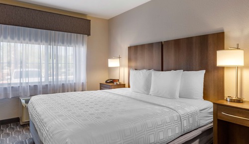 Standard Room, 1 King Bed, Non Smoking, Refrigerator & Microwave