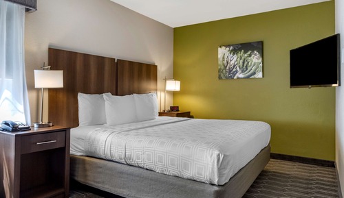Standard Room, 1 King Bed, Non Smoking, Refrigerator & Microwave (Pet Friendly)