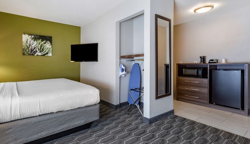 Standard Room, 1 King Bed, Accessible, Non Smoking