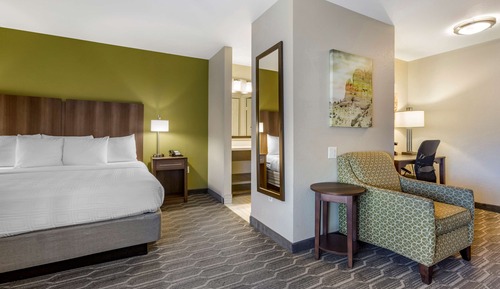 Standard Room, 1 King Bed, Non Smoking, Refrigerator & Microwave