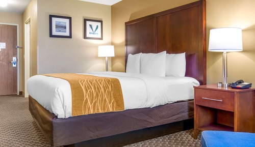 Standard Room, 1 King Bed, Non Smoking
