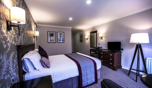 Family Room, 1 King Bed