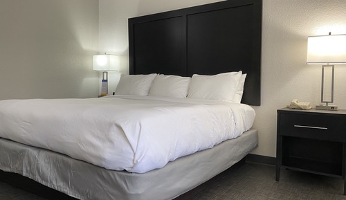Deluxe Suite, 1 King Bed with Sofa bed, Non Smoking