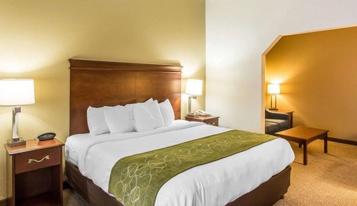 Suite, 1 King Bed with Sofa bed, Non Smoking