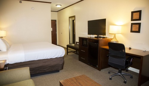 Basic Room, 1 King Bed, Roll-in Shower, Non Smoking