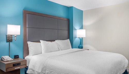 Room, 1 King Bed, Accessible