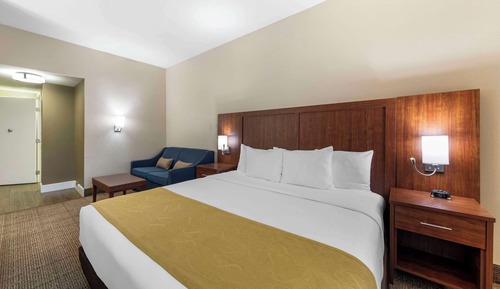 Suite, 1 King Bed, Accessible, Non Smoking