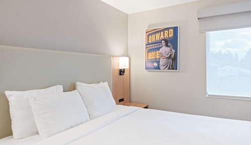 Standard Room, 1 King Bed, Accessible, Refrigerator & Microwave
