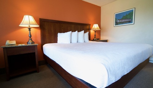 Standard Room, 1 King Bed, Non Smoking