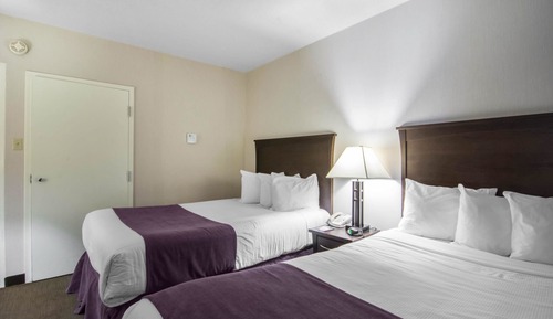 Standard Room, 2 Double Beds, Non Smoking
