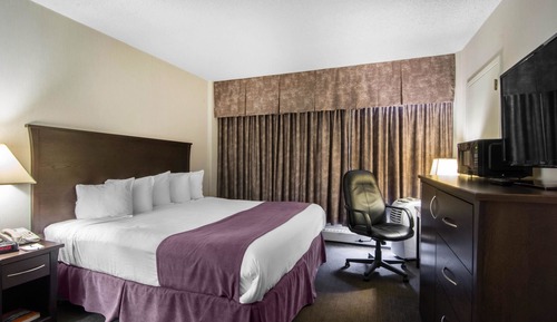 Suite, 1 King Bed with Sofa bed, Non Smoking (2 Person Sofa Bed)