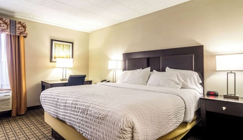 Standard Room, 1 King Bed, Non Smoking