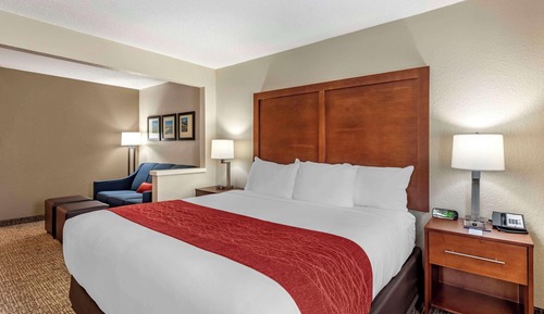 Suite, 1 King Bed with Sofa bed, Non Smoking