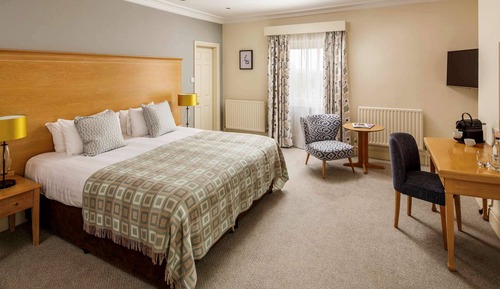 Privilege, Room, 1 Double Bed